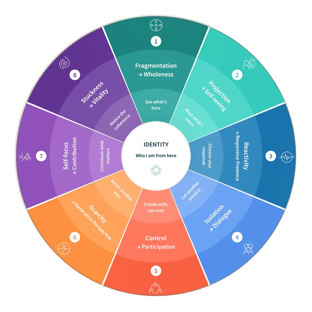 The open Compass with eight windows into lived experience