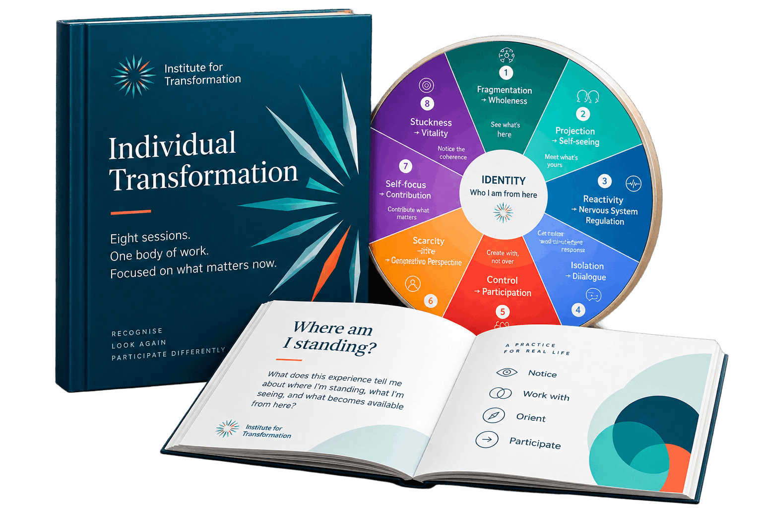 Individual Transformation