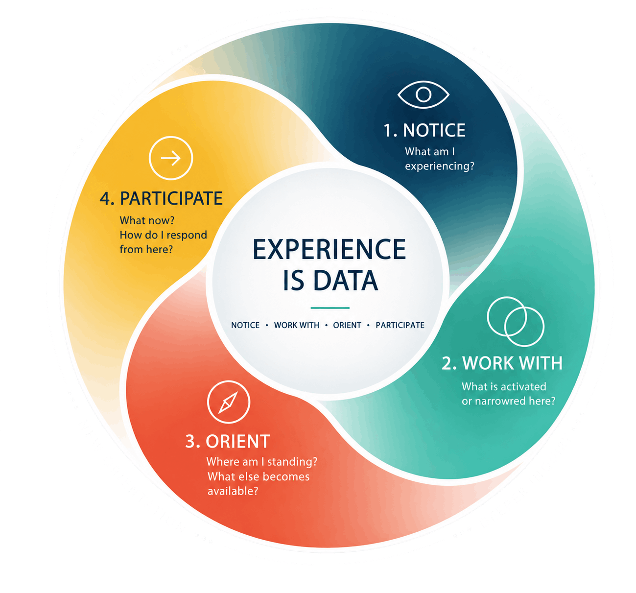 Experience is Data: Notice, Work With, Orient and Participate