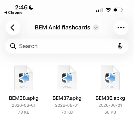 The open folder on a phone, full of files that end in .apkg