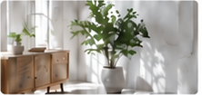 Light-filled interior with natural materials