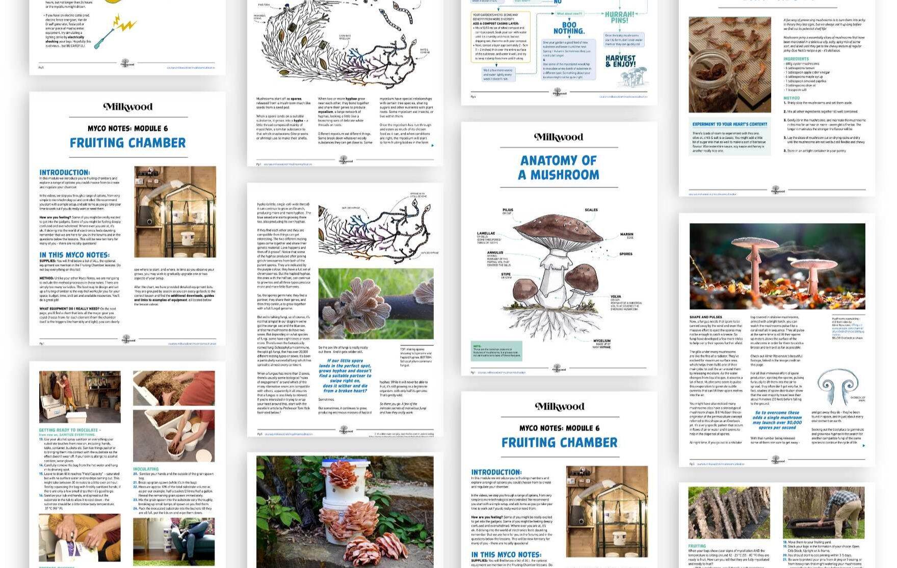 Pages from the course's Myco Notes: fruiting chambers, the anatomy of a mushroom, and step-by-step photos