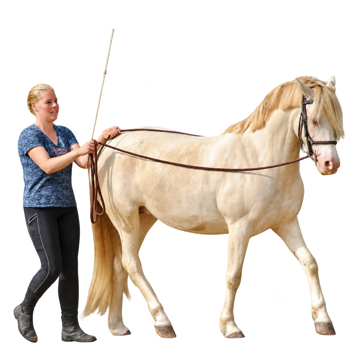 Astrid loopt aan de lange teugel naast haar paard
