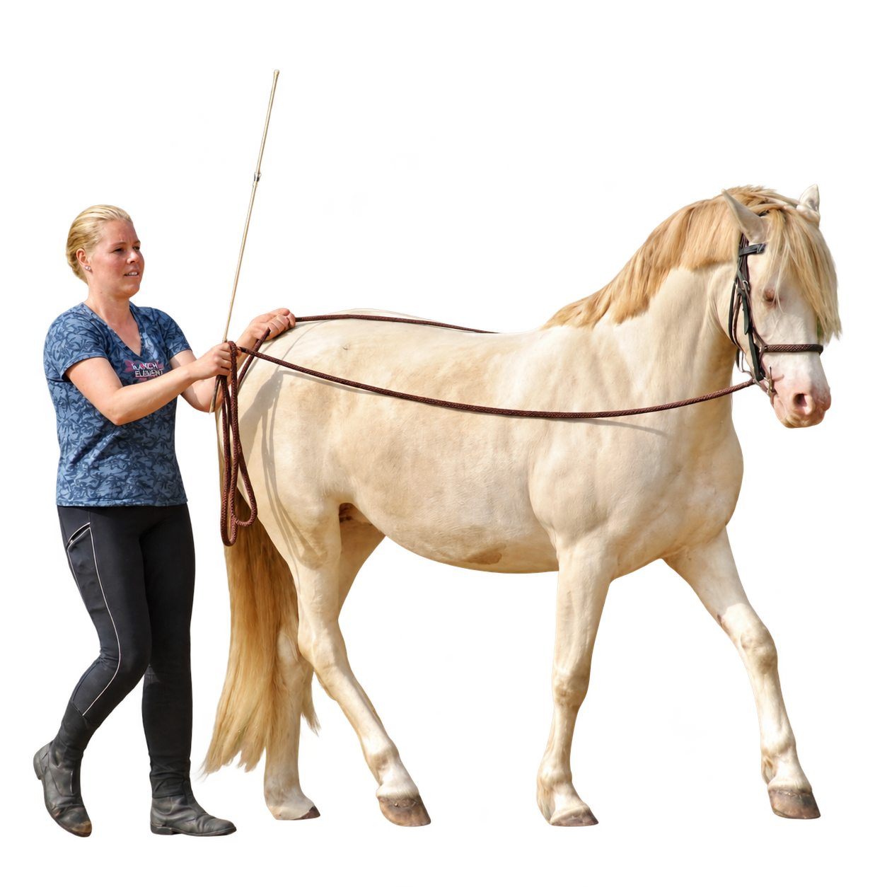 Astrid walking beside her horse while long reining