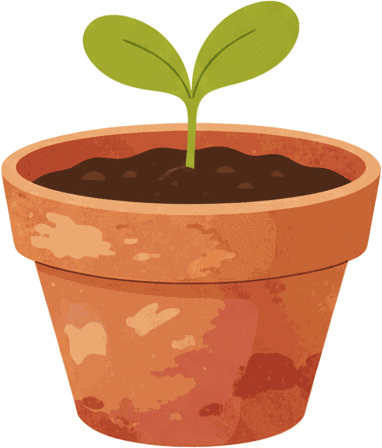 A small sprout in a terracotta pot