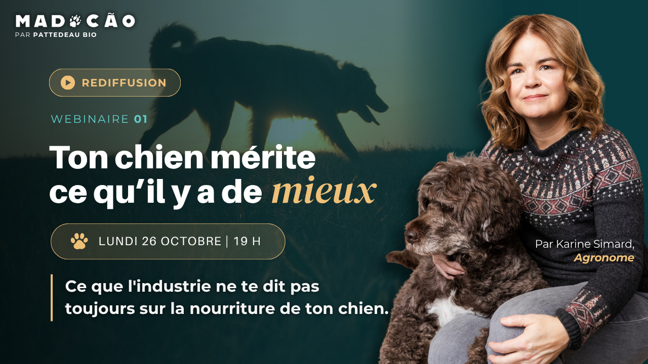 Rediffusion du webinaire 1
