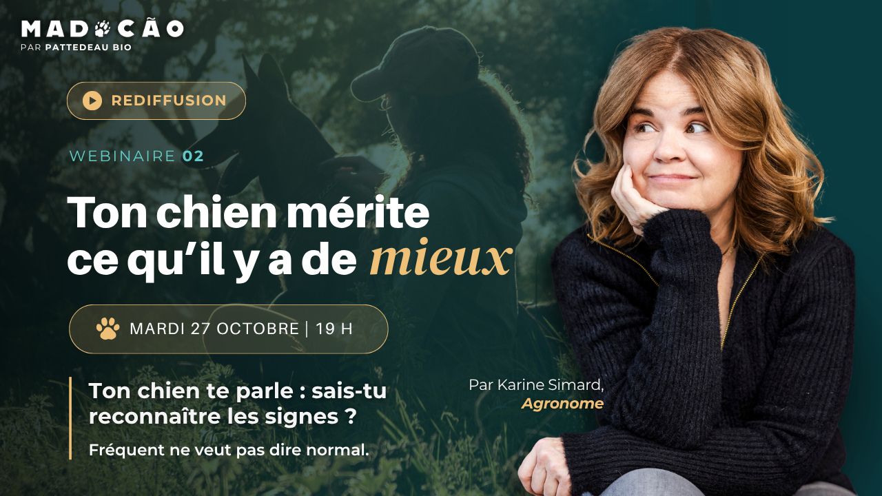 Rediffusion du webinaire 2