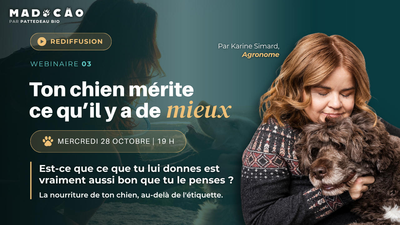 Rediffusion du webinaire 3