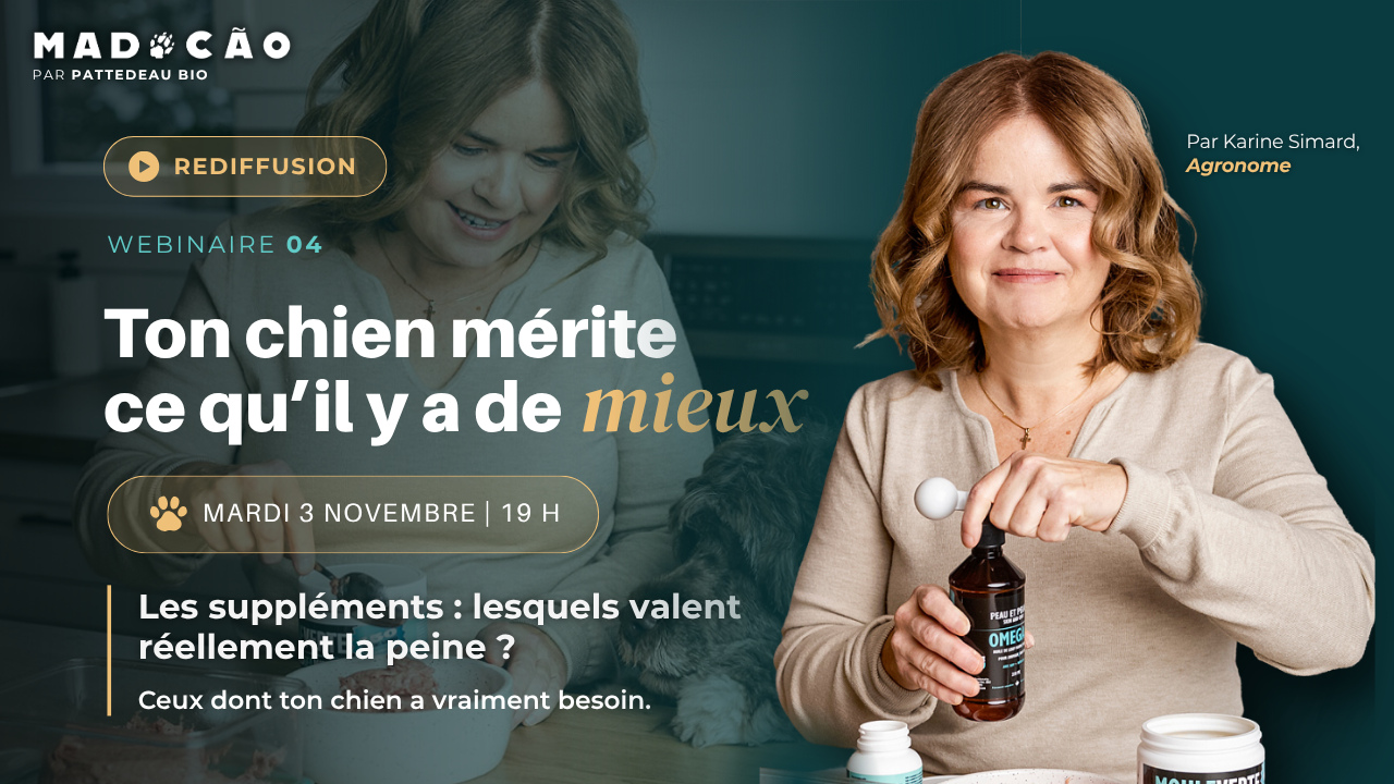 Rediffusion du webinaire 4