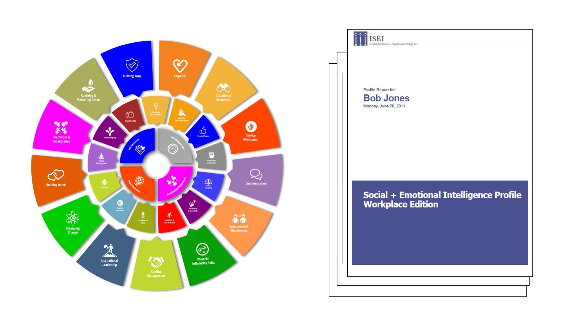 People Builders Social + Emotional Intelligence Profile and the 26 SEI competencies vector. 