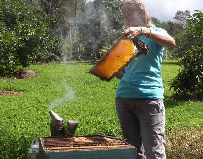 beekeeper with no veil in hawaii