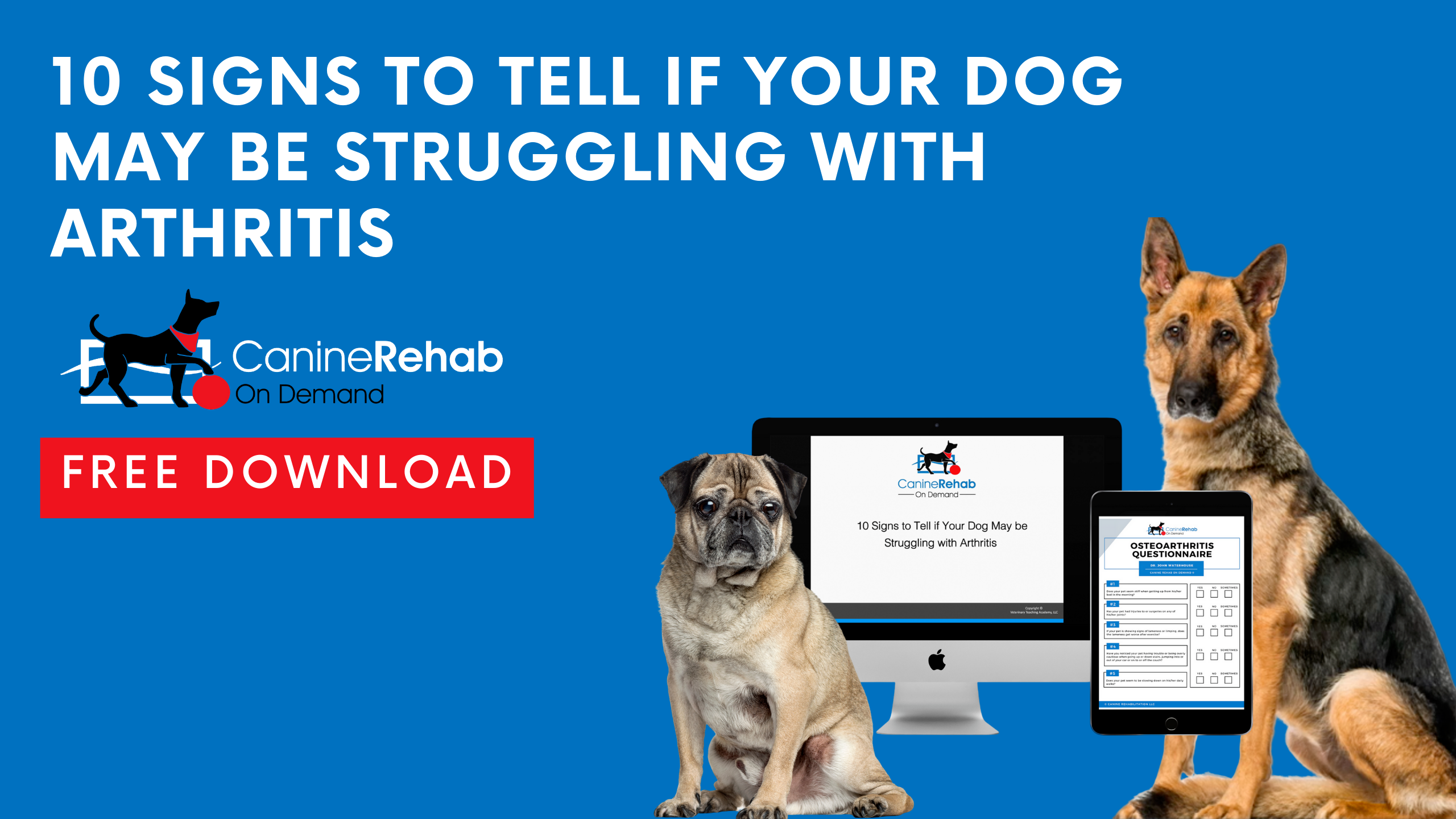 Osteoarthritis Free Download Questionnaire