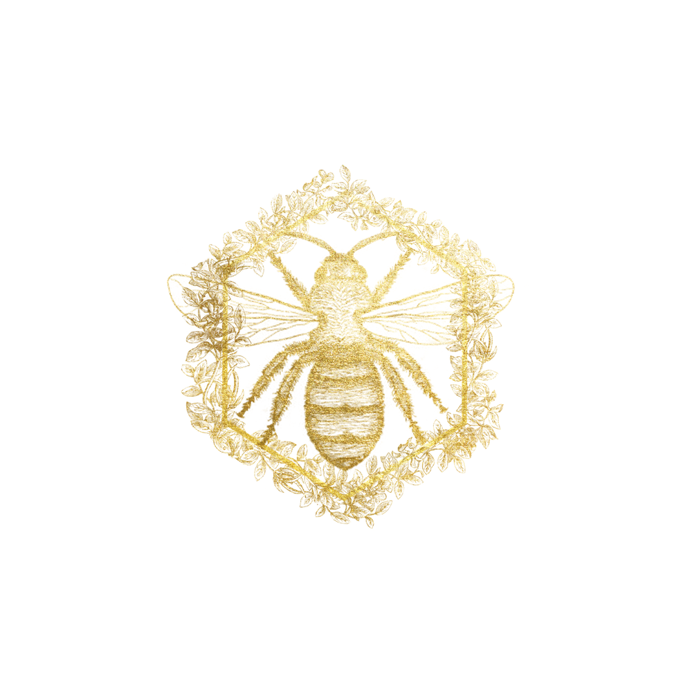 Header Logo