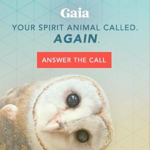 Gaia - Your spirit animal called again - answer the call - Snowy White Owl