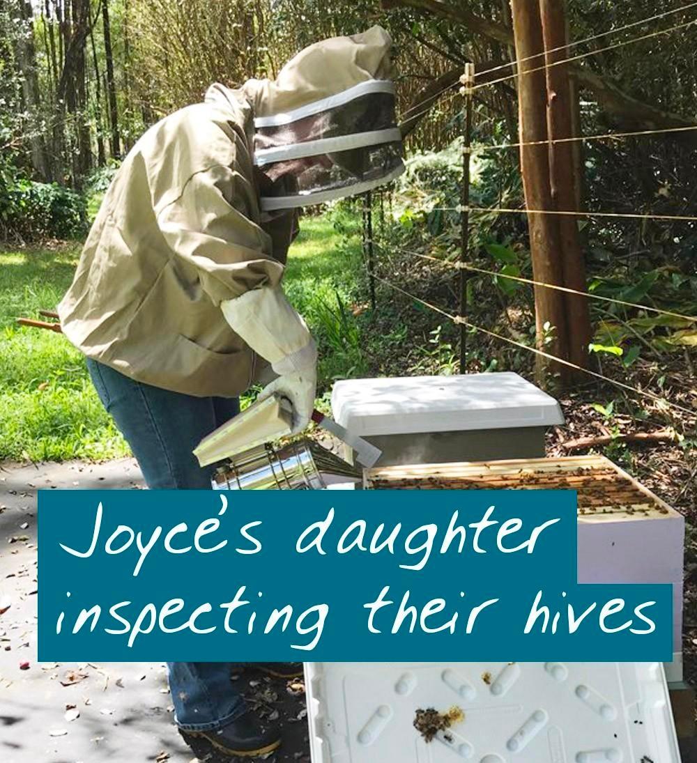 beekeeping for beginners student inspecting her beehive