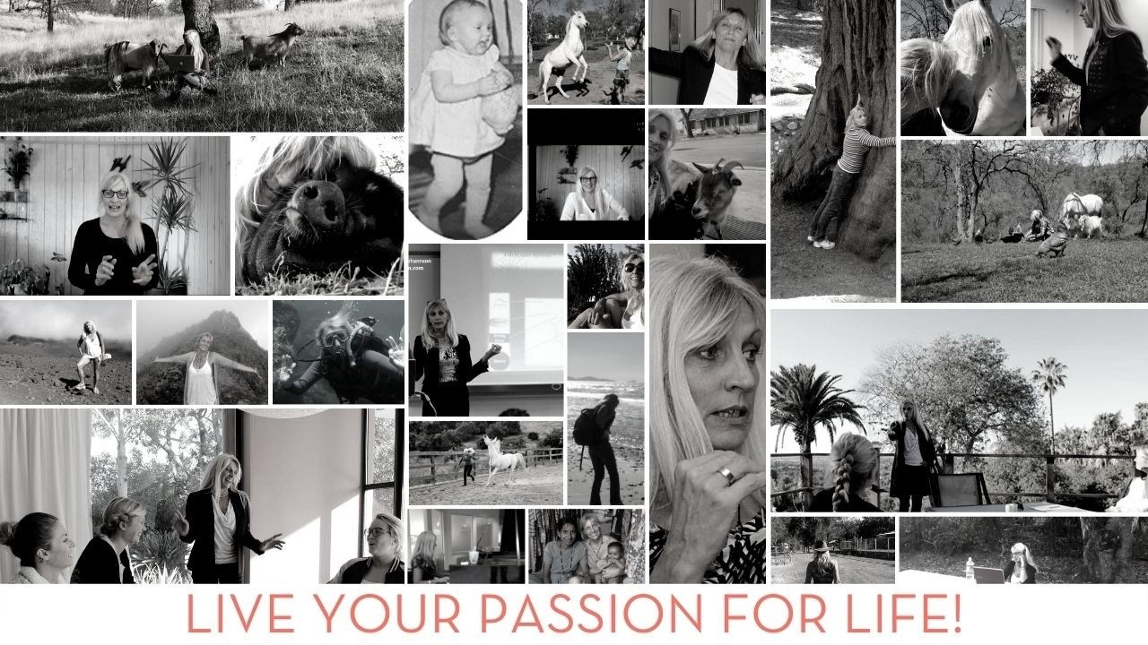 What Is The Meaning Of Weird and Do You Belong To The Weird Ones?