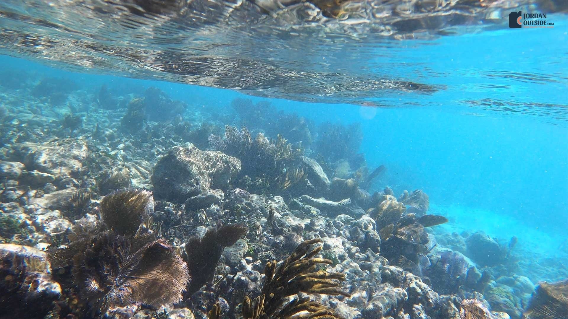 Grecian Rocks Coral Reef