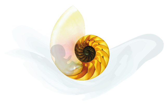 Biocostellazioni