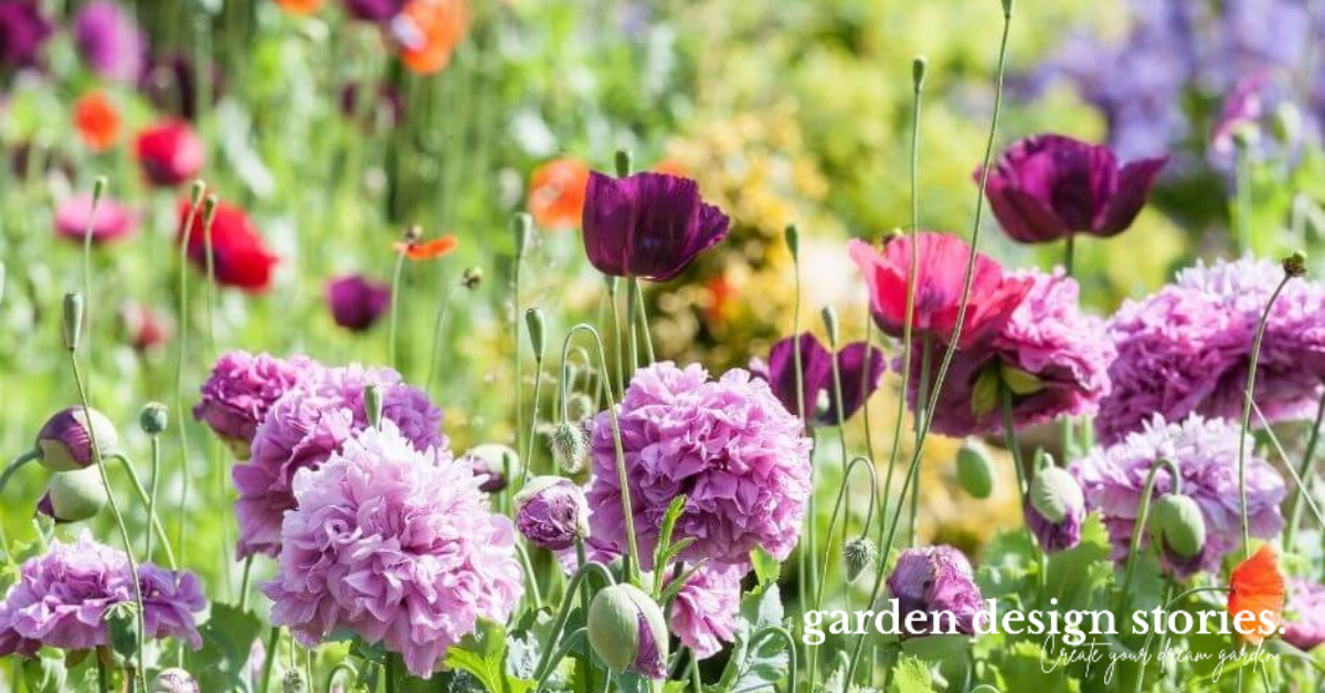 Scandinavian Garden Design