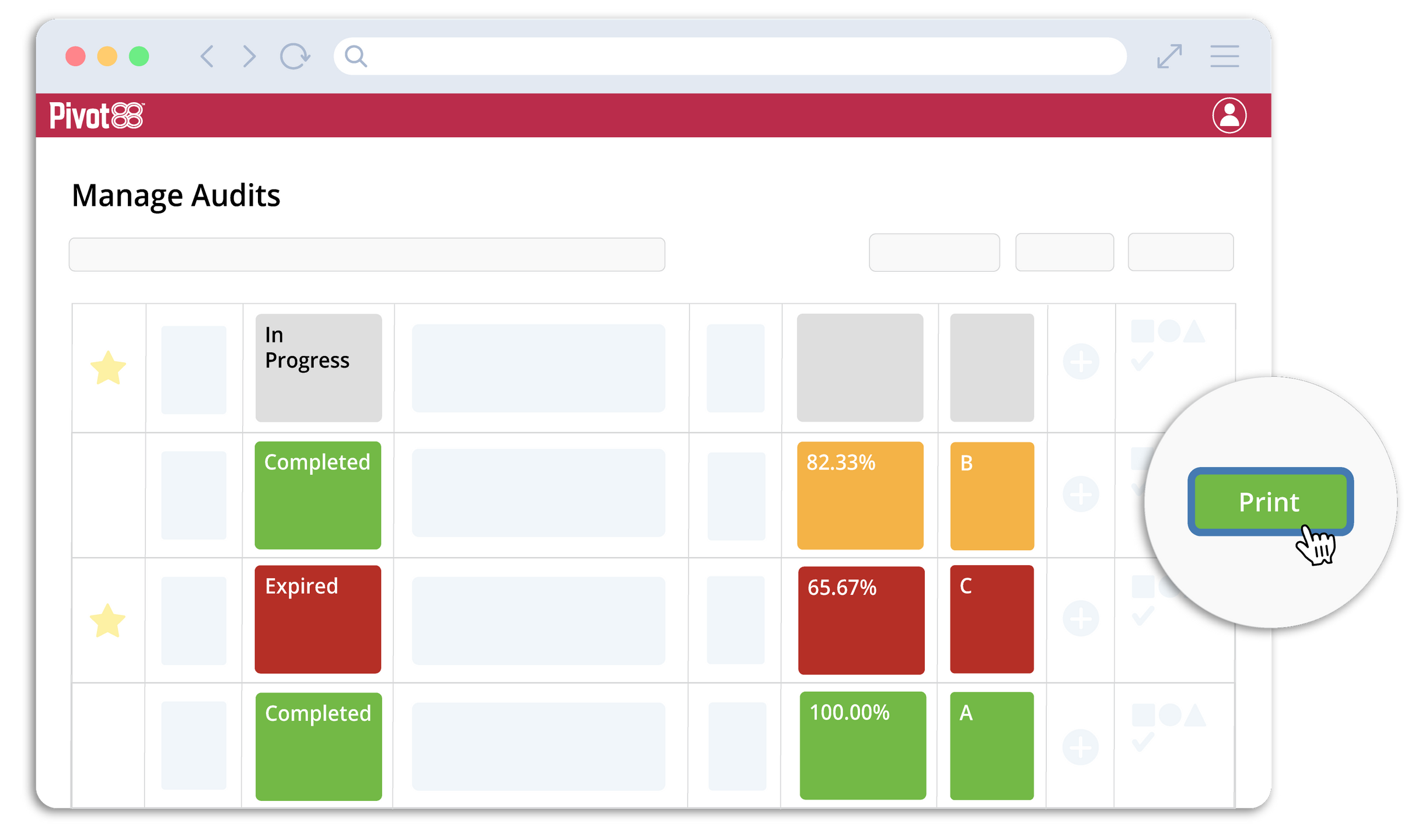 Manage audits page with print function