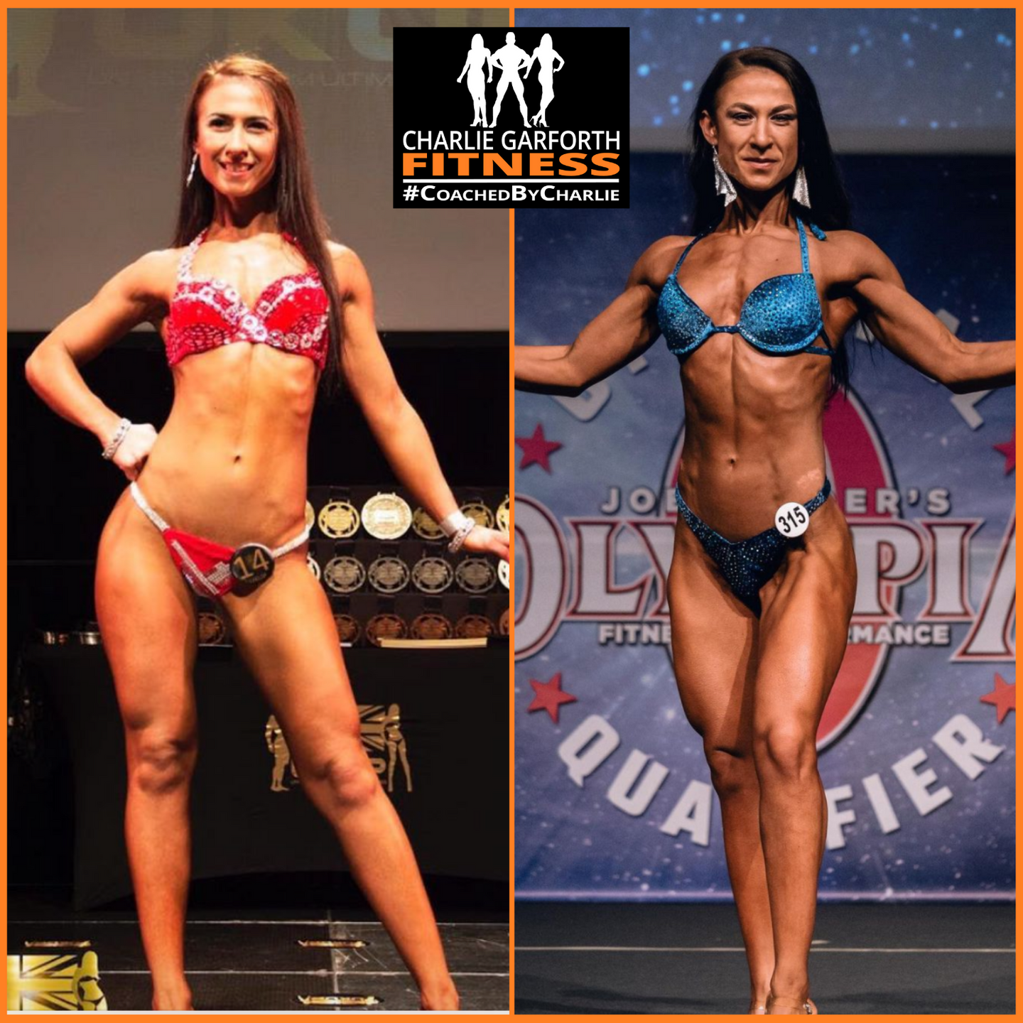 Bikini transformation comp prep coaching