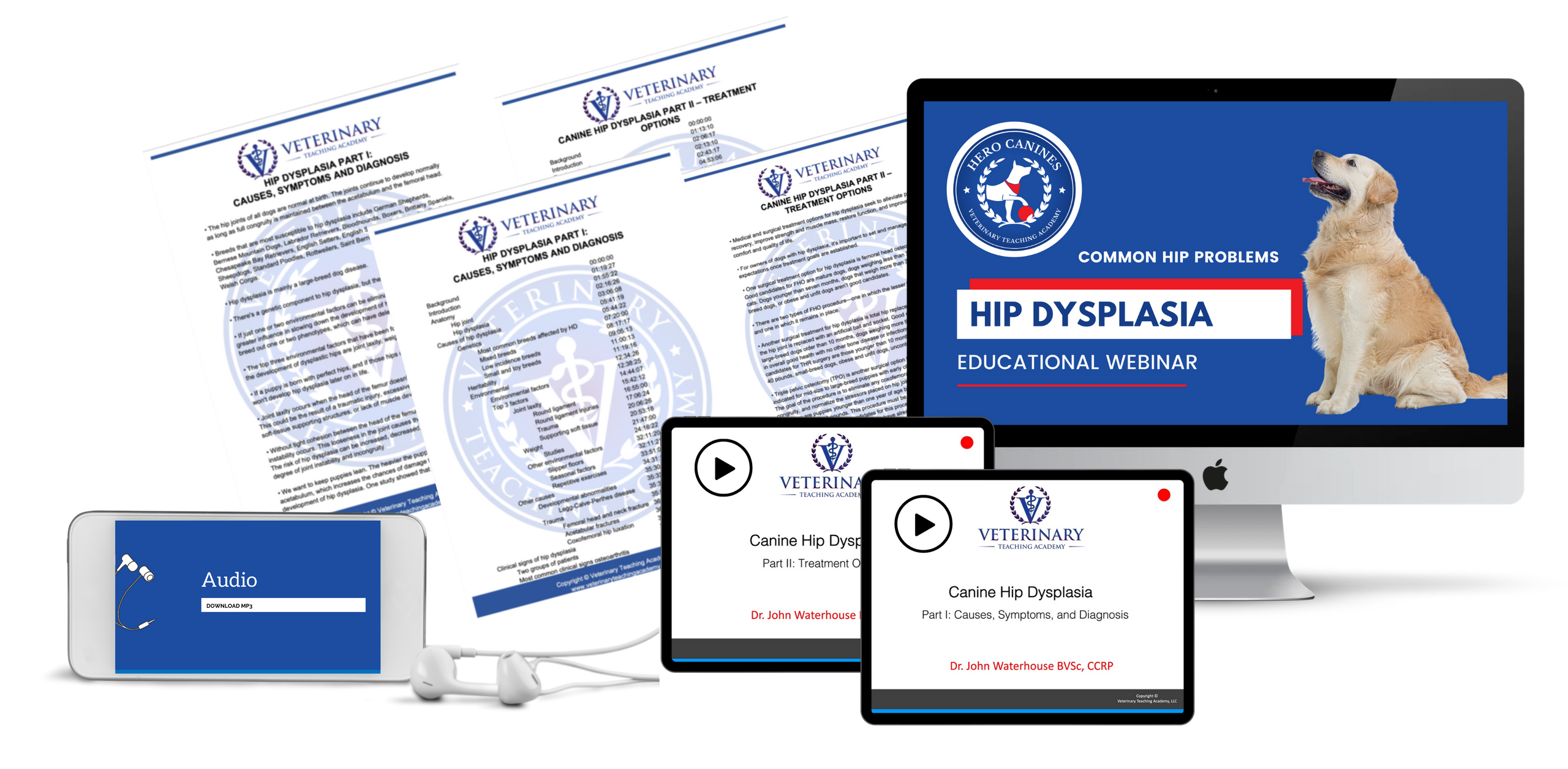 Hero Canines Hip Dysplasia 12 Week Program