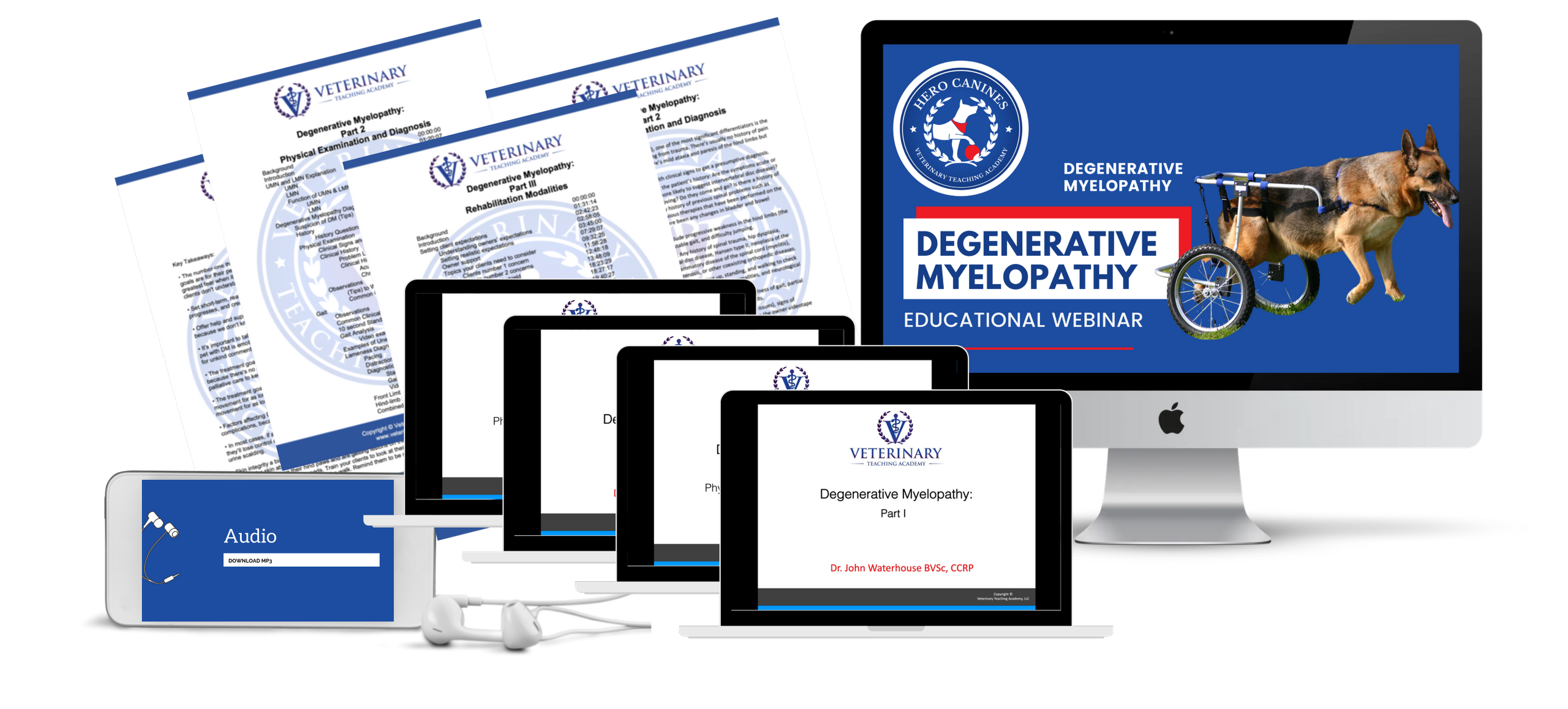 Hero Canines Degenerative Myelopathy