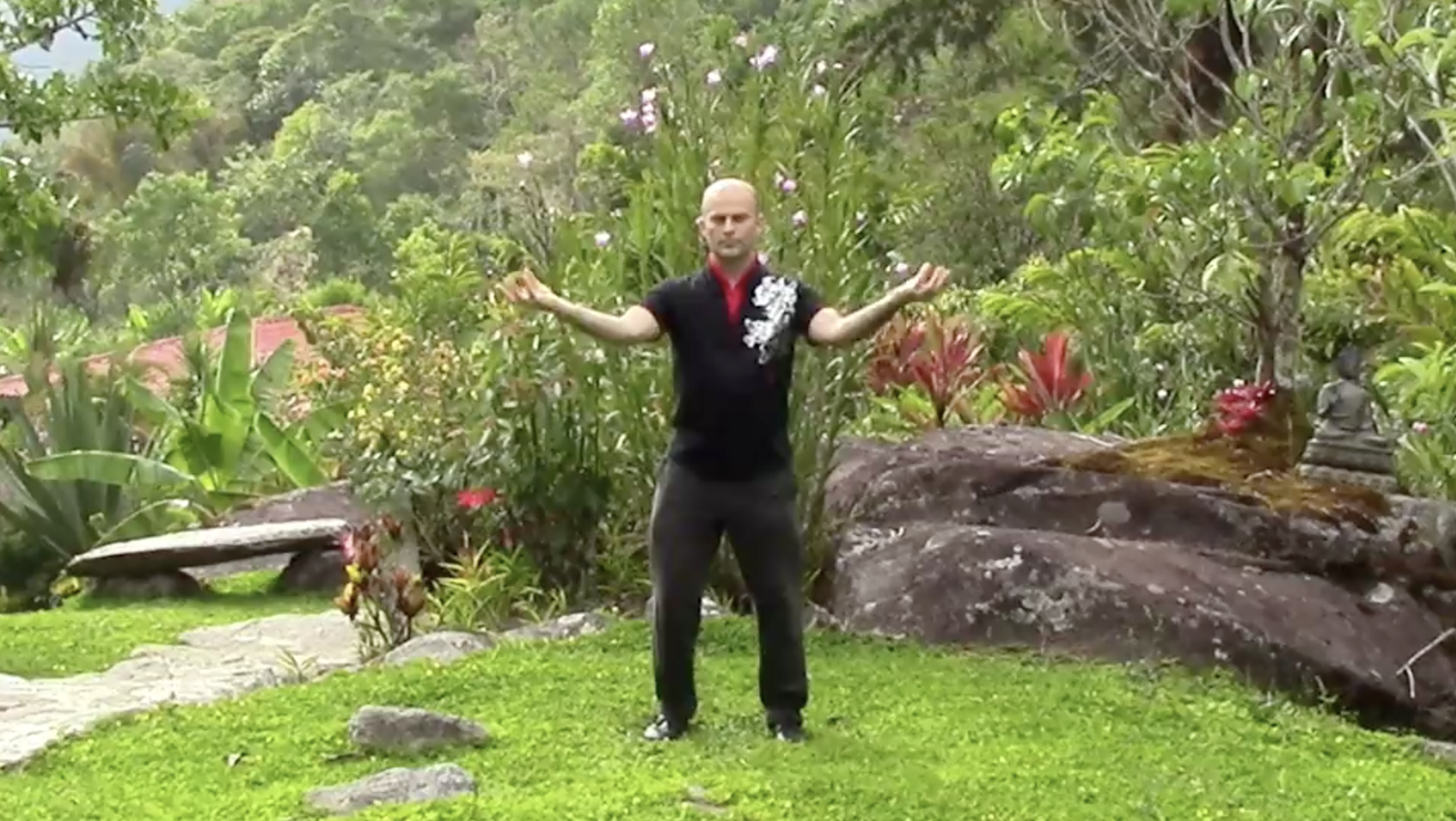 Qigong 201: Learning Traditional Sets and Skills